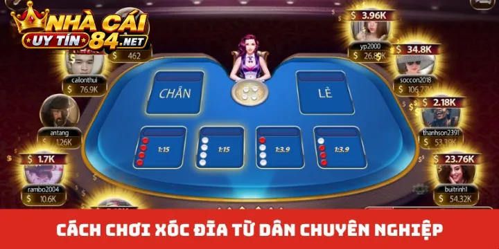 Bí Quyết Bẻ Cầu Thông Minh Trong Cẩm Nang Cách Chơi Xóc Đĩa 