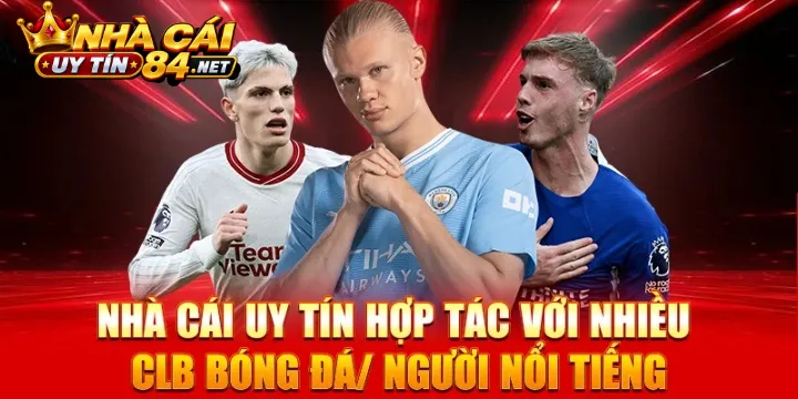 Giao diện tối ưu, cộng đồng đông đảo và bảo chứng từ các đối tác lớn