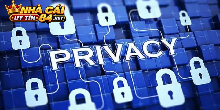 Hệ Thống Thông Báo Và Kênh Hỗ Trợ Hội Viên Chuyên Nghiệp